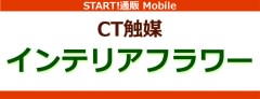 CTG} CeAt[